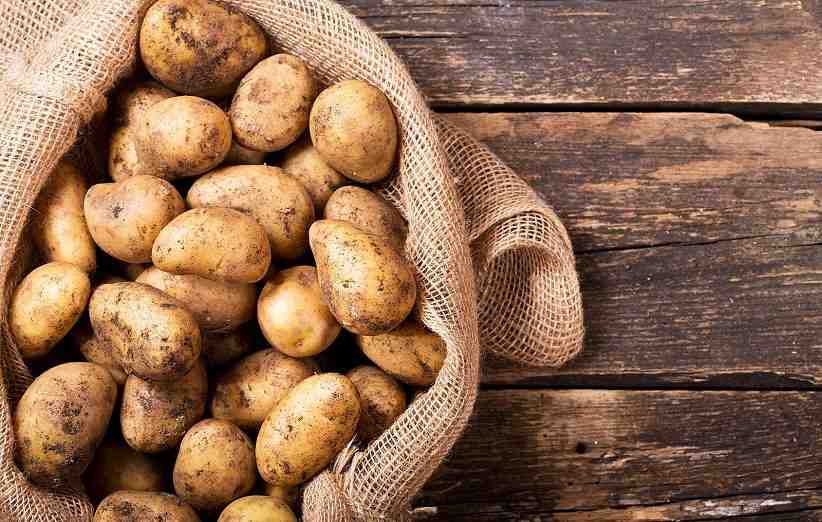 قیمت خرید سیب زمینی صادراتی اردبیل + فروش ویژه